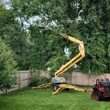 Best Leaf Removal  in Bridgehampton, NY